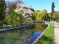 River Cottage Amwell, April 2011