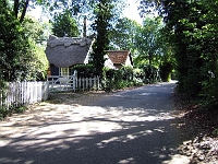 Hillside lane, Great Amwell. Leads to the Folly in Saint Margarets. Photo 2007.
