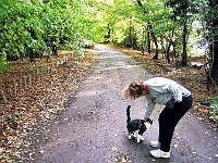 Walnut Tree Walk, Amwellbury. Photo 2007.