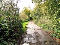 Walnut Tree Walk, Amwellbury. Photo 2007.