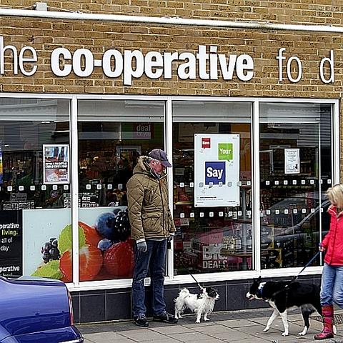 Coop